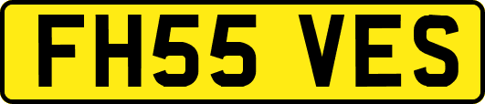 FH55VES