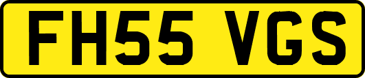 FH55VGS