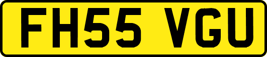 FH55VGU