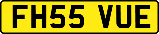 FH55VUE