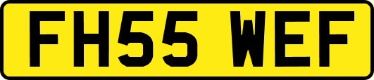 FH55WEF