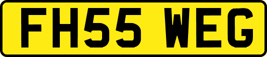 FH55WEG