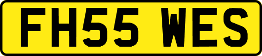 FH55WES