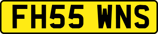 FH55WNS