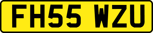 FH55WZU