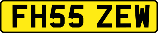 FH55ZEW