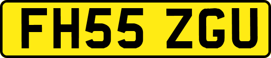 FH55ZGU