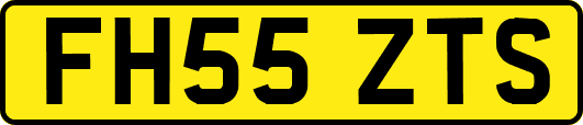 FH55ZTS