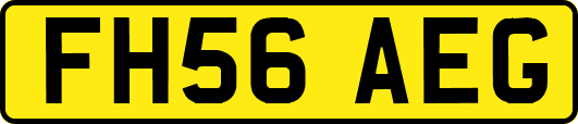 FH56AEG