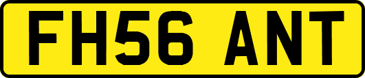 FH56ANT