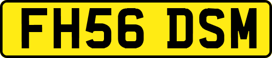 FH56DSM