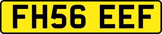 FH56EEF