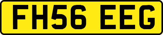 FH56EEG