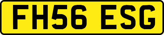 FH56ESG