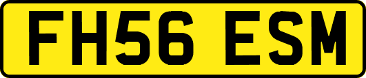 FH56ESM