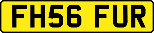 FH56FUR