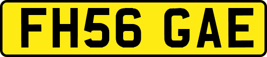 FH56GAE