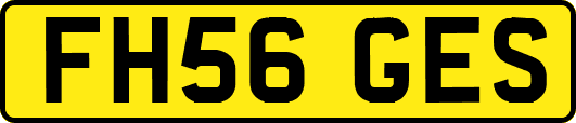 FH56GES