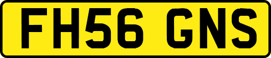 FH56GNS