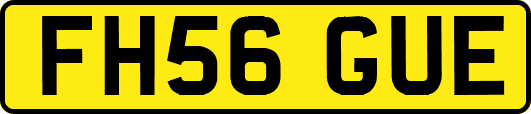 FH56GUE