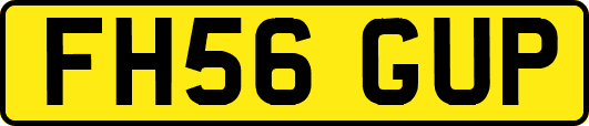 FH56GUP