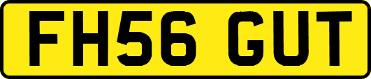 FH56GUT