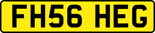 FH56HEG