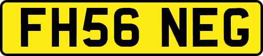 FH56NEG