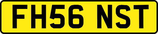 FH56NST