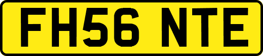 FH56NTE