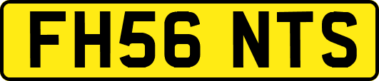 FH56NTS