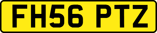 FH56PTZ