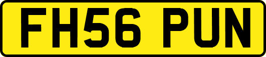 FH56PUN