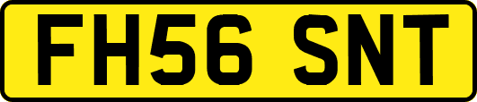 FH56SNT