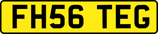 FH56TEG