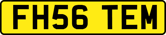 FH56TEM