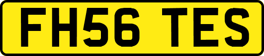 FH56TES