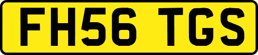 FH56TGS