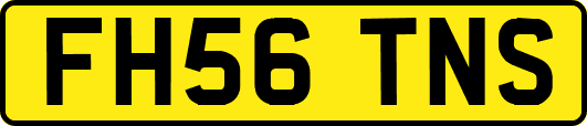 FH56TNS