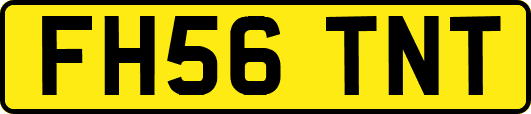 FH56TNT