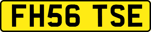 FH56TSE