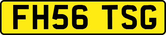 FH56TSG