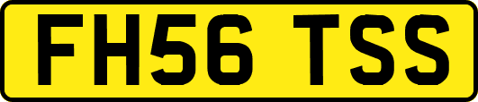 FH56TSS