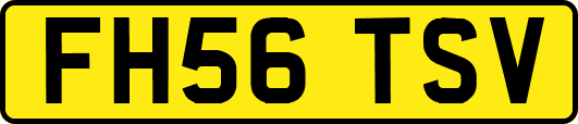 FH56TSV