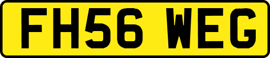 FH56WEG
