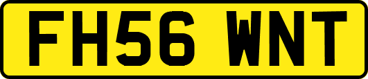 FH56WNT