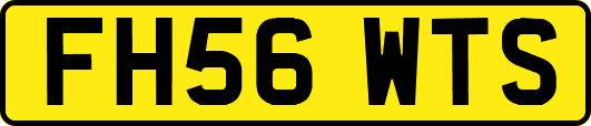 FH56WTS