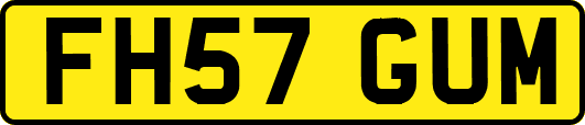 FH57GUM