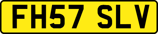 FH57SLV