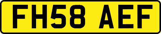 FH58AEF